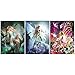 Rubywoo&chili 3Pcs 5D Diamond Pintura, Flor Reina Elfo DIY Diamond Art kit, Pintura de Diamante Conjunto para Decoración de la Pared del Hogar (40 * 30 cm)