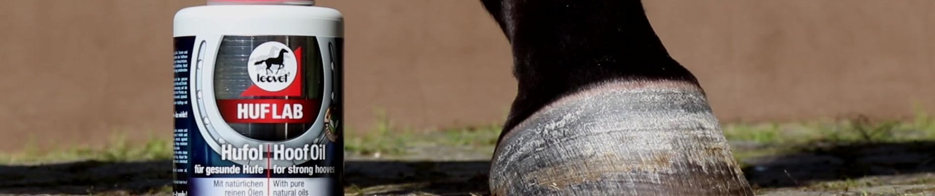 Leovet Huflab Huföl | 450 ml | Pflegemittel für Pferdehufe | Aus reinen Pflanzenölen