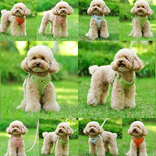 Lairle Pettorina per cani di piccola taglia