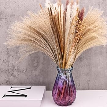 Mixed Dried Pampas Natural Grass Decor DIY Boho Natural Dried Flowers Eucalyptus Decor Dry Dried Plants Bouquet For Vase Home Floral Arrangements Decorations For Home Wedding 50 70 100 Pcs