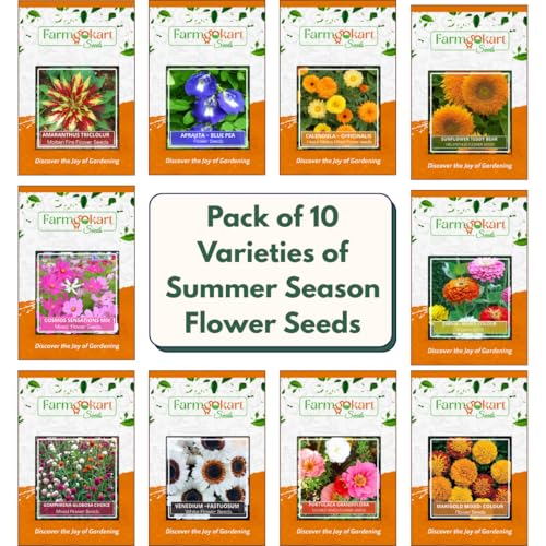 Image of Pack of 10 Varaties ~ Summer Season Home Gardening Flower Seeds Collection - (Silver Collection)