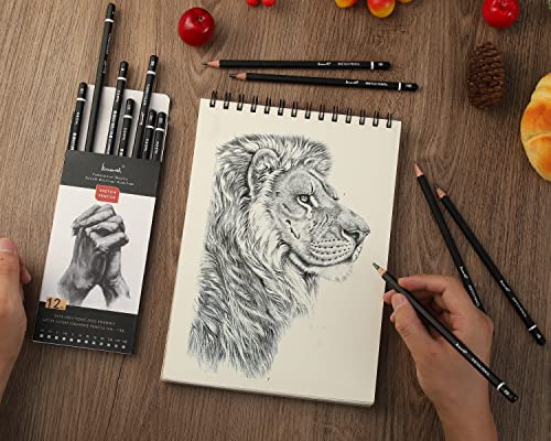 Bursarth- Sketch Pencils For Drawing, 12 Pack, Drawing Pencils, Art Pencils, Graphite Pencils, Graphite Pencils For Drawing, Art Pencils For Drawing And Shading #TOP4