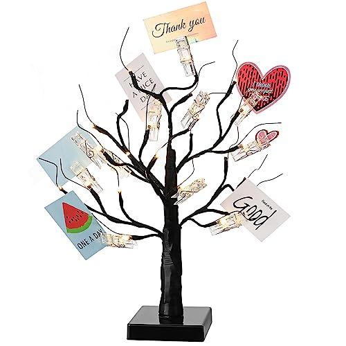 Mudder Money Holder Tree Present Card Holder with 12 Clear Clips LED Birch Twig Lights Tabletop Display Tree for Christmas, Valentines, Memo, Photo, Wedding(Fresh Style,Black, Warm White)