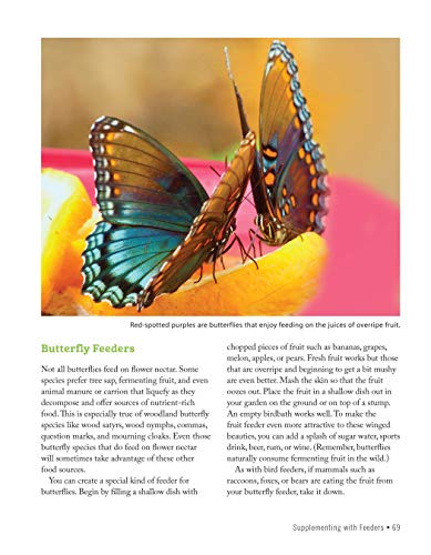 National Wildlife Federation(R): Attracting Birds, Butterflies, and Other Backyard Wildlife, Expanded Second Edition (Creative Homeowner) 17 Projects & Step-by-Step Instructions to Give Back to Nature - Image 10