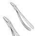 Dental Extracting Pliers for Upper Roots - Fig-30S Tooth Extraction Forceps