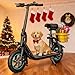 AWWSCOOTER C1 Electric Scooter with Seat for Adults, 450W Powerful Motor, 20 Mile Long Range, 16 Mph Foldable Commuter E-Scooter with Basket for Daily Commute, Grocery, or Pet Travel – Classic Black