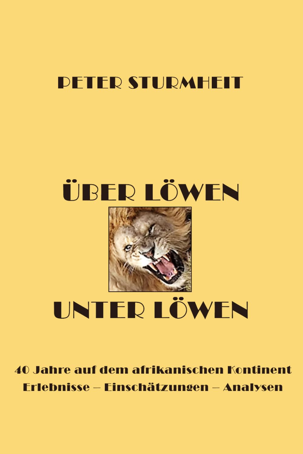 Über Löwen - Unter Löwen: 40 Jahre auf dem afrikanischen Kontinent Erlebnisse – Einschätzungen – Analysen