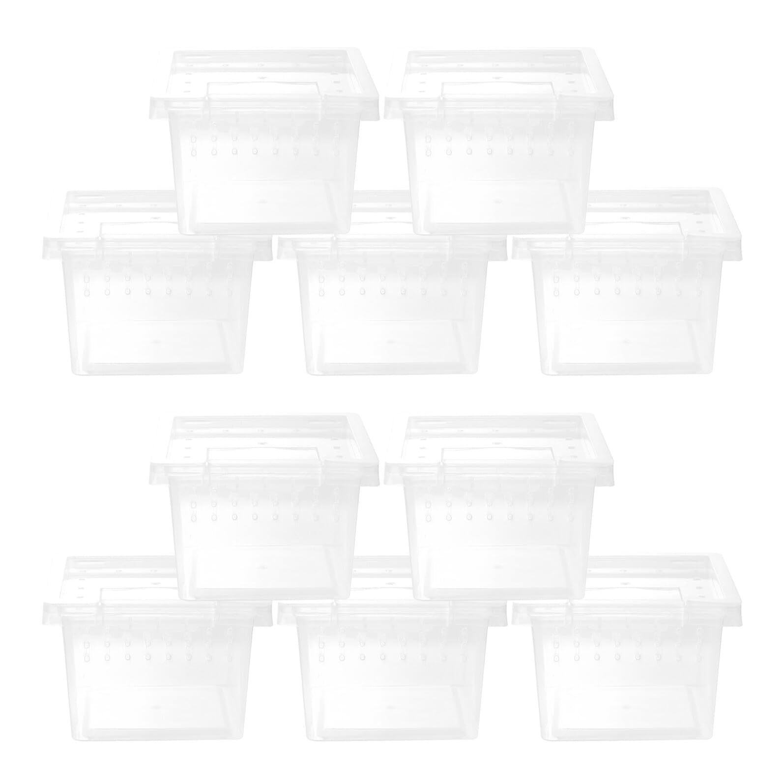 Boîte d'élevage pour reptiles plastique transparent structure anti évasion tortue