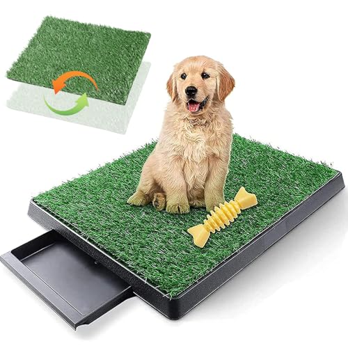 Hundetoilette Balkon Die 15 besten Produkte im Vergleich