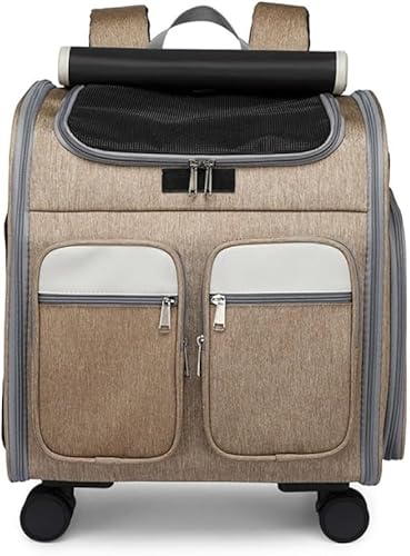 AZIEBAY ybgpg[P[X L[bN ܂肽ݎ e LX^[t ^ Lp o s ʉ@ U h ubN