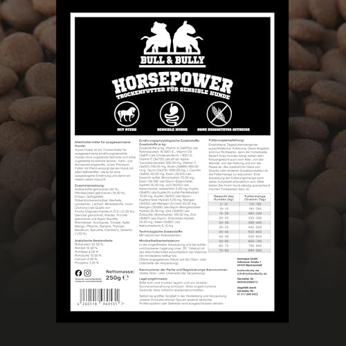 BULL & BULLY – Big Bully Horsepower 250g Hundefutter Trocken Getreidefrei – Hundefutter & Hundeleckerli Pferd Pur – Pet Hunde Leckerlis Pferd & Hundesnack für empfindliche Hunde & Senioren