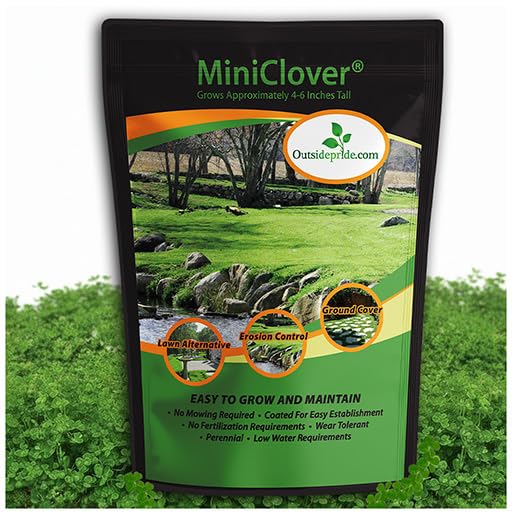Outsidepride Perennial White MiniClover Seed - 1 lb. Dwarf, Small-Leaved, Drought & Wear-Tolerant...