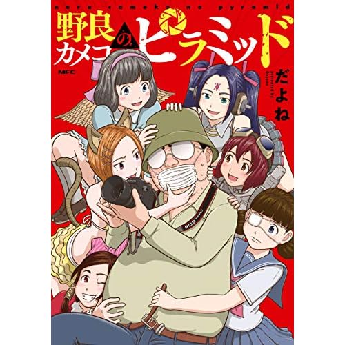 野良カメコのピラミッド