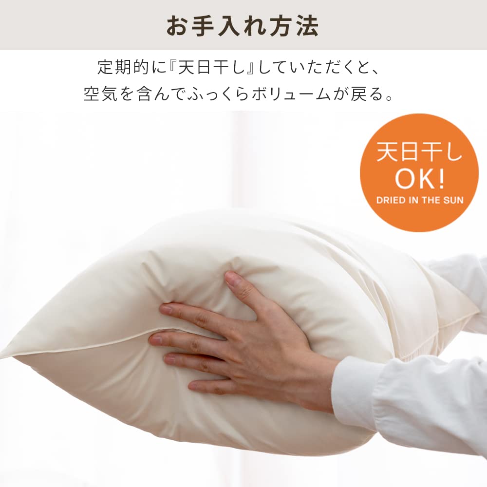 Amazon.co.jp: アイリスプラザ ヌードクッション 45×45cm 日本製 2個