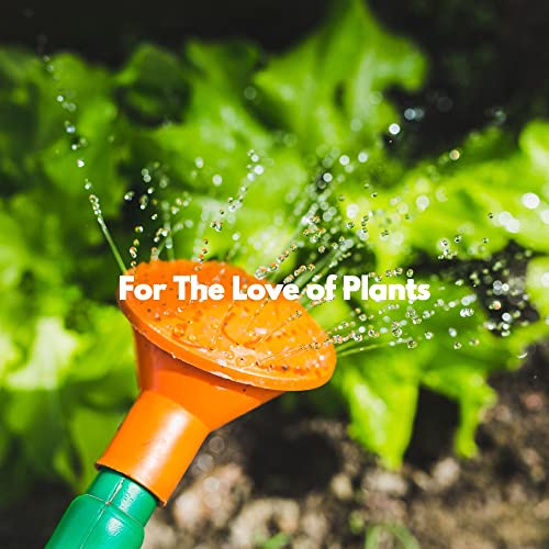 Amazon.com: For The Love of Plants : Hotel Lounge Deluxe & Java Jazz ...