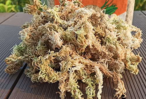 Yilotuce 1.1 lb Sphagnum Moss for Plants, Carefully Selected Clean Sphagnum Mos for Rooting Plants by Yilotuce - Used condition - Image 2