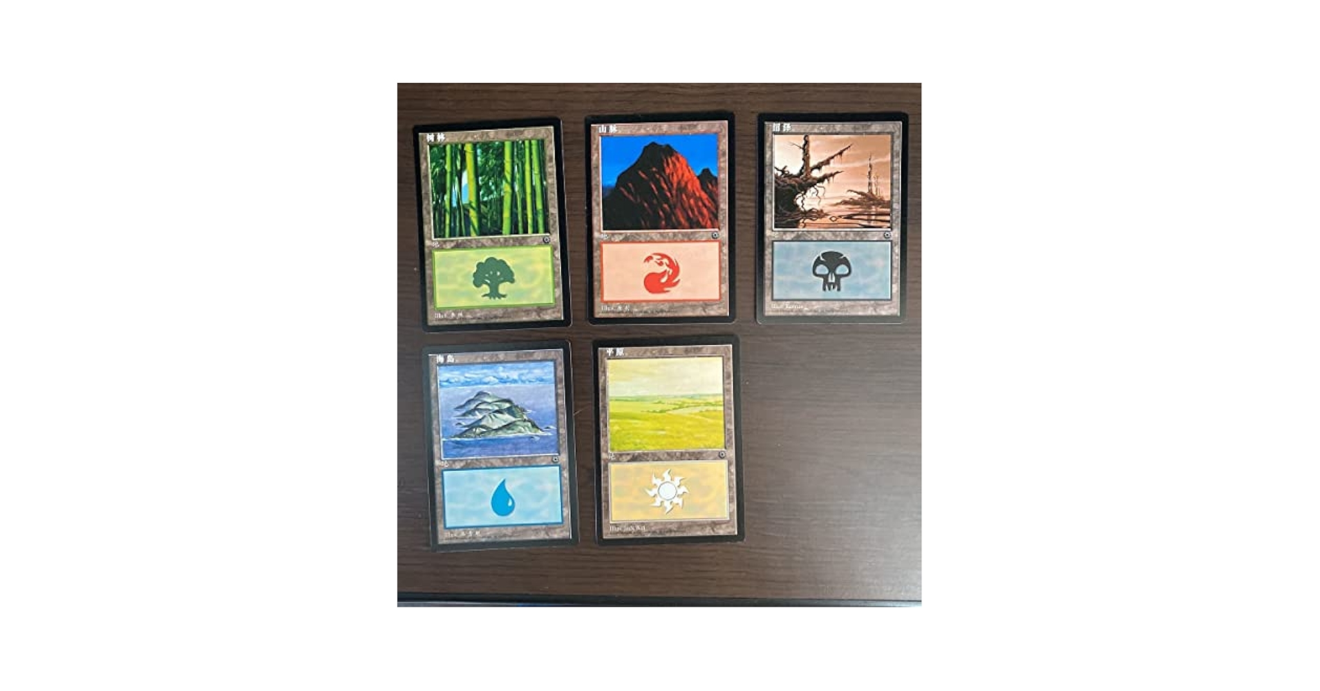 Amazon.co.jp: MTG 簡体字 POR 絵違い 土地 5種セット 中国語版
