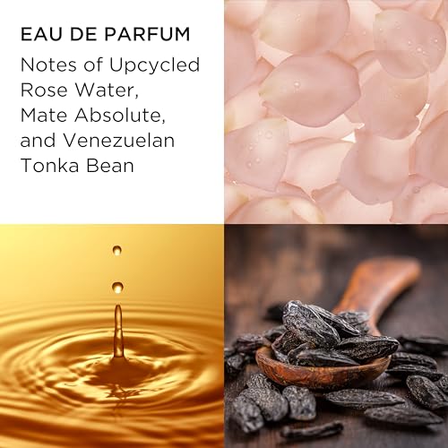 Elizabeth Arden WHITE TEA Collection Coffret (10ml x 3) 3-piece Gift Set, fragrance gifting for women - Image 6