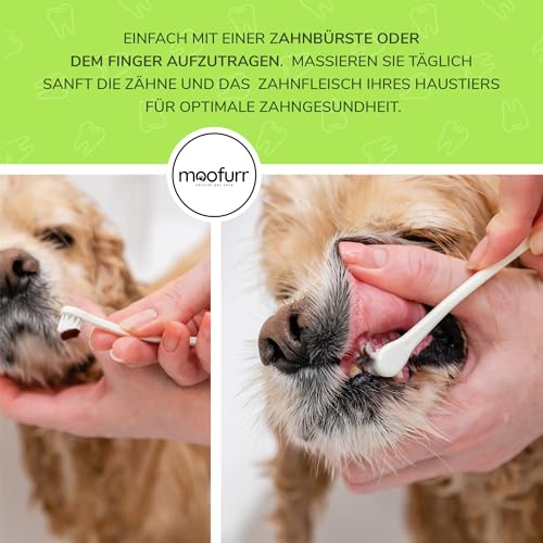 Moofurr-Dog-Toothpaste-Tartar-Remover-Dog-Natural-Dental-Care-Against-Plaque-Toothpaste-for-Dogs-with-Magnolia-Bark-Dental-Care-Dog-Gel-75-ml