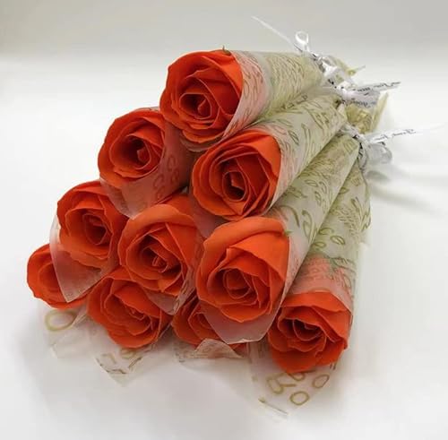 SCAMPER \[vt[ 1փo a v[g  lC  Mtg \ ̓ ސE c ޏ ʉ [Y v[g LO 蕨 (IWi30{j)