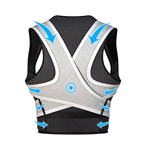 Lwxg Lw xgw T|[^[ p w؃xgpxg jp (M)