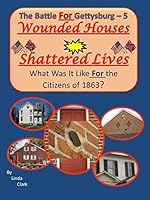 Wounded Houses, Shattered Lives 098538994X Book Cover