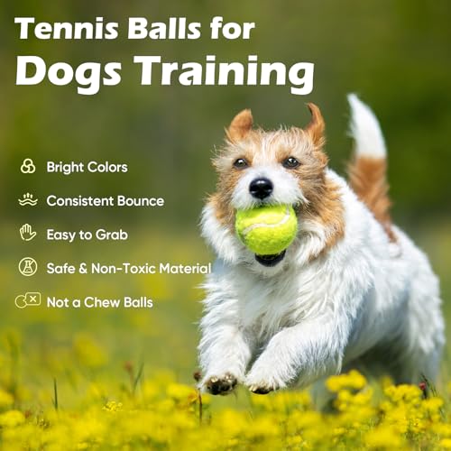 Image of Treeroot 16 /30 /40 /60 /80 Pcs Tennis Balls, High Elasticity Tennis Balls Bulk, Comes with a Portable Mesh Bag, Tennis Ball for Dogs, Suitable for Beginner Training Ball, Durable & Bounce