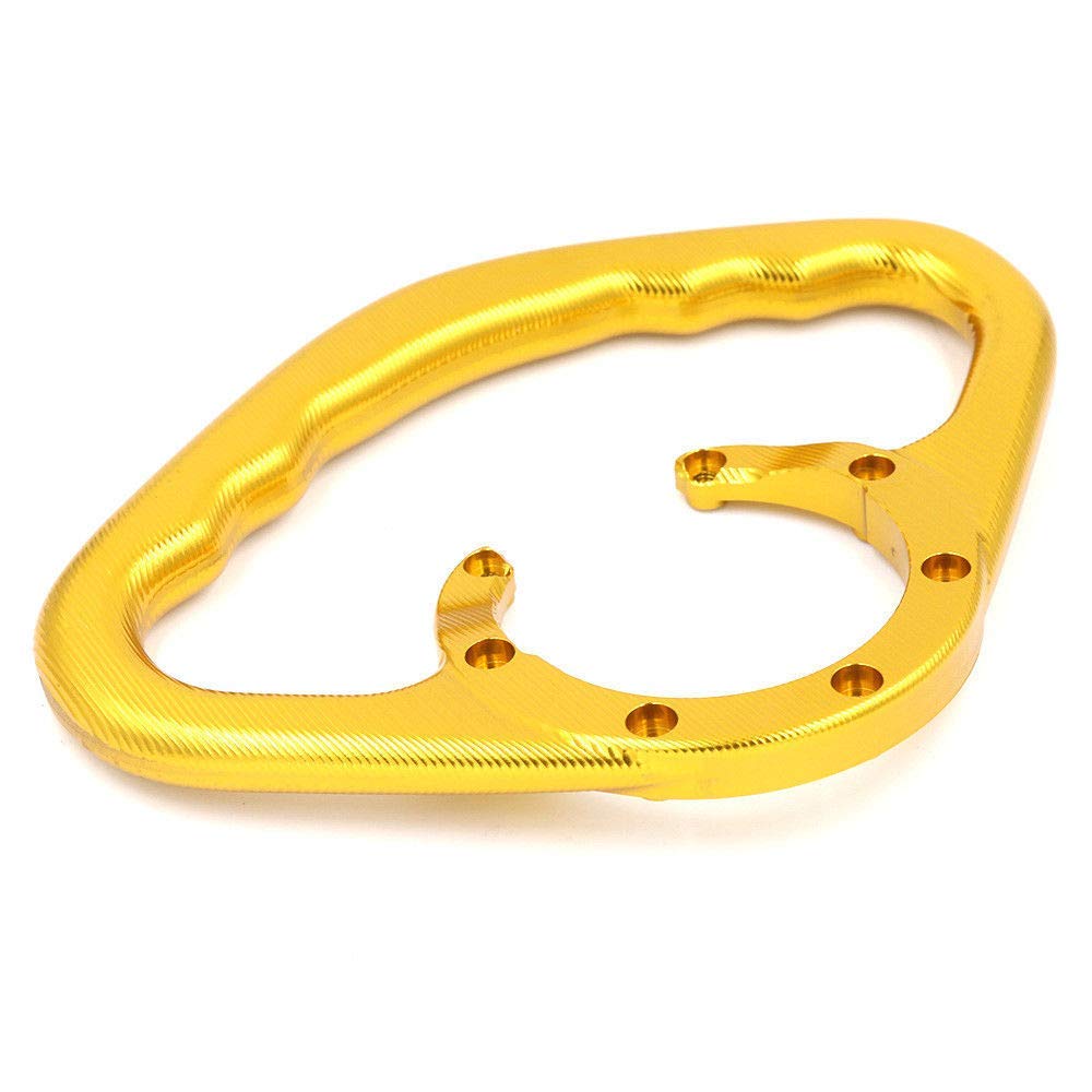 TESWNE Passenger Tank Grab Bar Hand Grip for CB1000R VFR1200F CBF1000 (Gold)