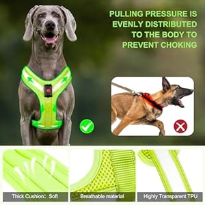 Light up dog harness  led dog harness rechargeable no choke illuminated glow dark harness vest waterproof for medium large dogs for camping night safety walking greenl   cucciolini doodles