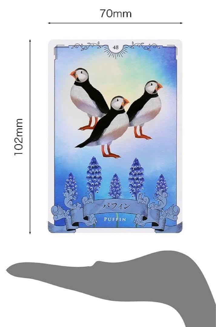 Amazon.co.jp: 美しい鳥たちのオラクルカード : おもちゃ