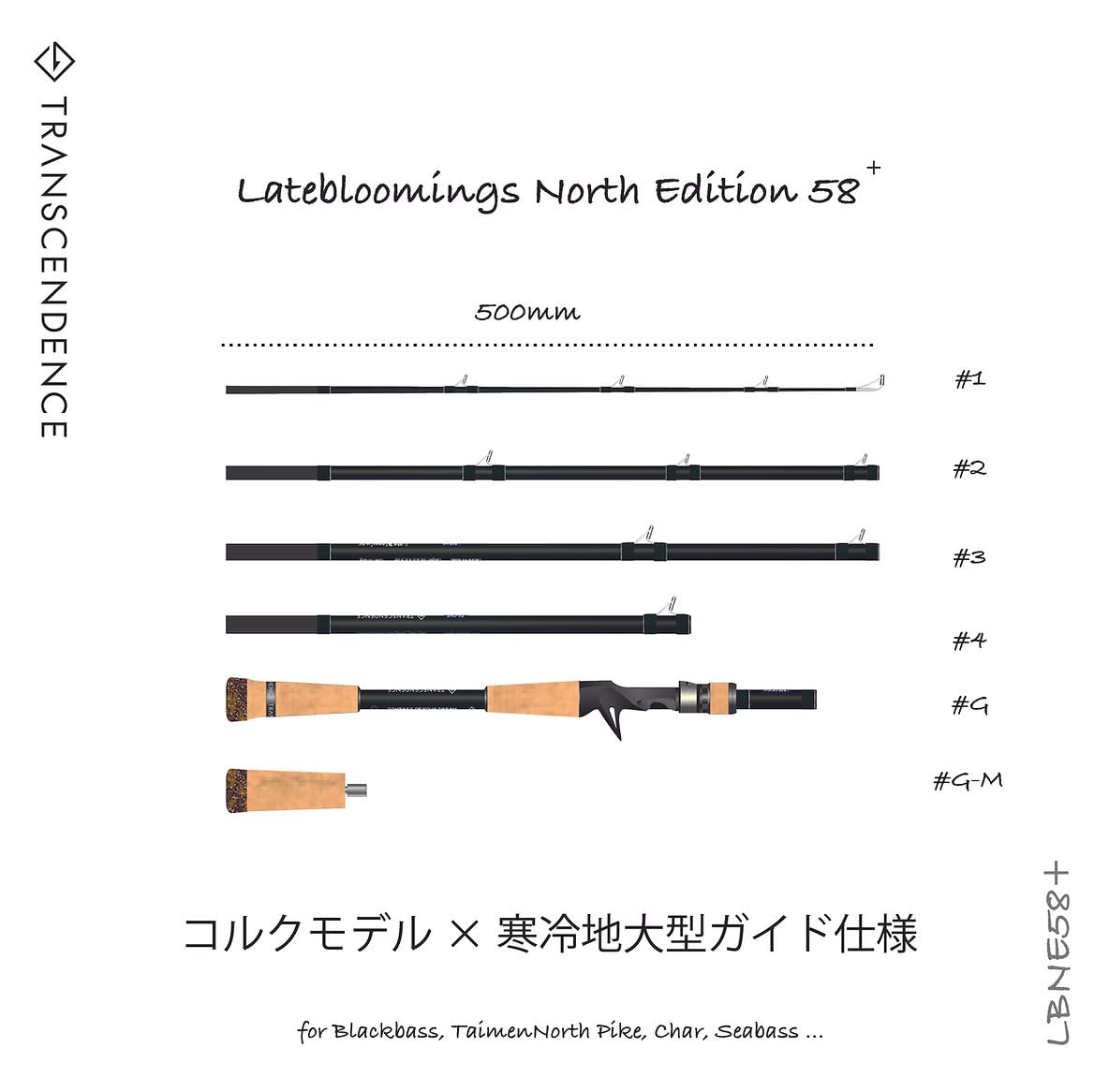 【トランスセンデンス】レイトブルーミングス 58NE+ /* トランスセンデンス レイトブルーミングス 58NE+ 【シーバス