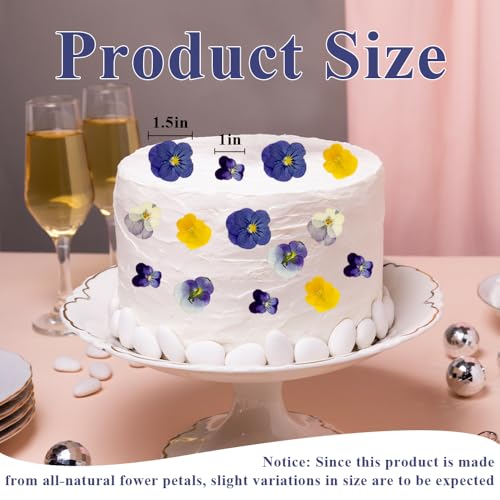 48 flores comestibles prensadas naturales para manualidades miniatura 3