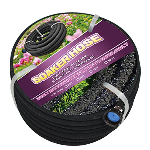 \[J[z[X K[fz[X a1/2C`̃C^[tF[Xt 100tB[g 70%ߖ /Ԓd/cɍœK (100tB[g)