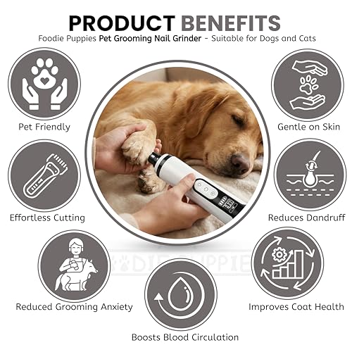 Image of Foodie Puppies Professional Rechargeable Pet Nail Grinder for Dogs & Cats with LED Light & LCD Display, 3 Speed Modes, Low Noise, USB Charging Electric Nail Trimmer for Safe & Easy Grooming at Home