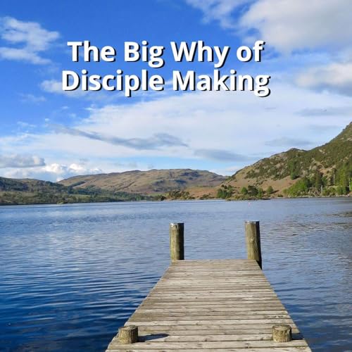 Page de couverture de The Big Why of Disciple Making