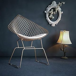 TTDY Greative Design Nordic Modern Minimalista Casual Hollow Wire Personalidad Creativa Silla de Comedor (Oro) Silla (Color : Gold)