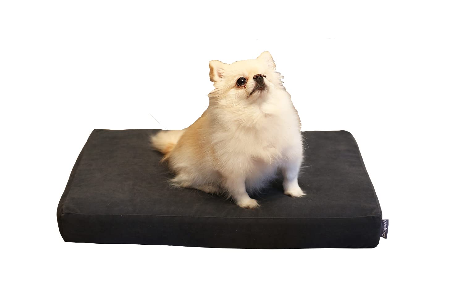 Arya Serisi Ortopedik Premium Kedi ve Köpek Yatağı 60x45 cm