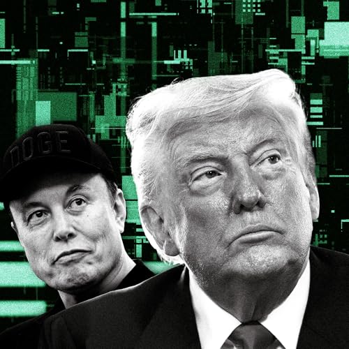 Should the U.S. Be Ruled by a CEO Dictator?