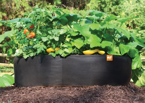 Victory 8 Fabric Raised Bed 2 ft X 2 ft Garden GREEN GARDENING Raised Bed, AeroFlow Fabric POT EZ-GRO SQUARE - Thumbnail 2