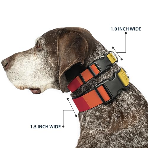 Collier pour chien color block Summer Essentials boucle plastique - 3