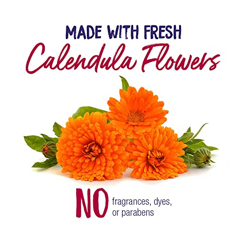 Boiron Calendula Ointment for Relief from Minor Burns, Cuts, Scrapes, and Insect Bites - 1 Oz - image 5
