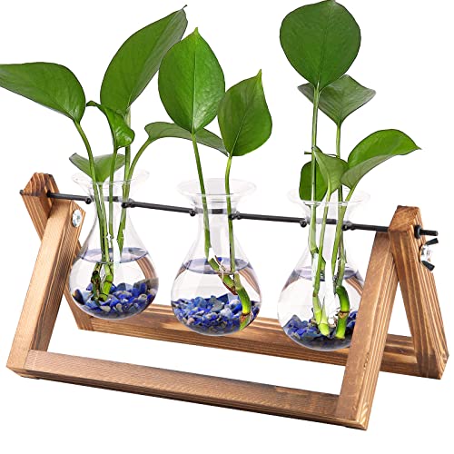 Blumenvase Vintage Kleine Vase Hydroponische Propagation Station...