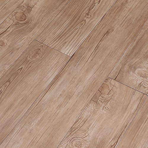 PCE tA^C \邾 ؖڒ V[ [i`I[N] [66Zbg(6)] t[O ^C  V[g Ebh ڒܕsv DIY ZttH[ ubNX^C H