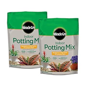 Top Indoor Plant Soil Mixture Secrets You Didn't Know About 2 best indoor plant soil mixture