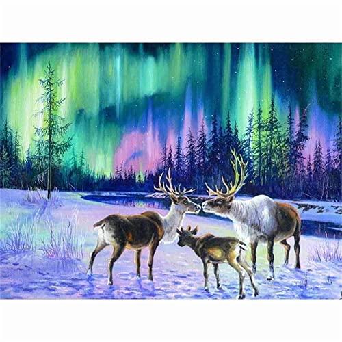 5D Diamant Painting Set - 40x80 Cm Landschaftsbild, Vollbohrer Mit Kristall-Strass