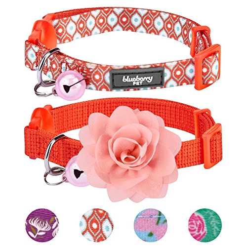 Blueberry Pet Pack of 2 The Power of all in One