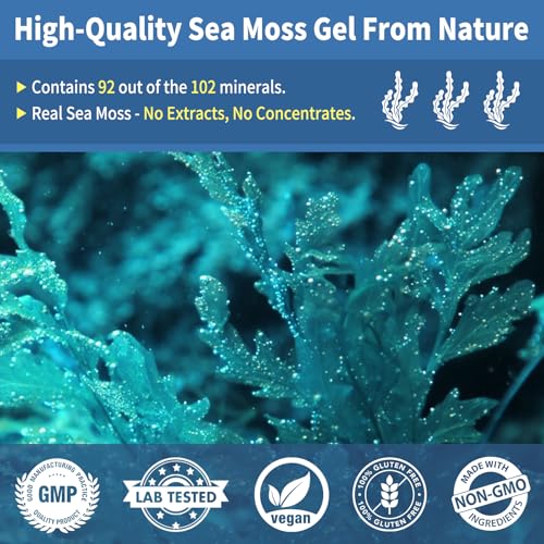 Sea Moss Gel Blue Spirulina Irish Seamoss Gel wtith Black Seed Oil, Ashwagandha, Ginger and Vitamin C, Vegan Superfood Vitamins Mineral Support, Made in USA, Gluten Free, Non-GMO - Image 4