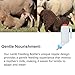 800ml Lamb Feeding Bottle, Upside-Down Livestock Milk Bottle, with Built-in Handle, Can Be Hung Or Carried, Goat Bottles for Feeding Baby Goats, Calves, and Other Mammals (2PCS)