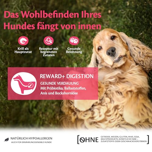 Wellness CORE Reward+ Verdauung 170g, Krill – sanfte Hundeleckerli für alle Hunderassen, getreidefrei, natürlich, hypoallergen, proteinreich, hoher Fischanteil, unterstützt eine gesunde Verdauung