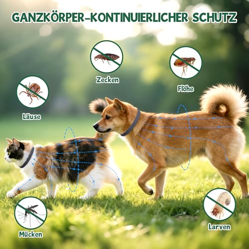 2 Pcs Floh Zeckenhalsband für Katzen & Hunde | Bis zu 16 Monate Langzeitschutz | Natürlicher Floh-und Zeckenschutz | Wasserdichter Verstellbares (Schwarz, Universal)